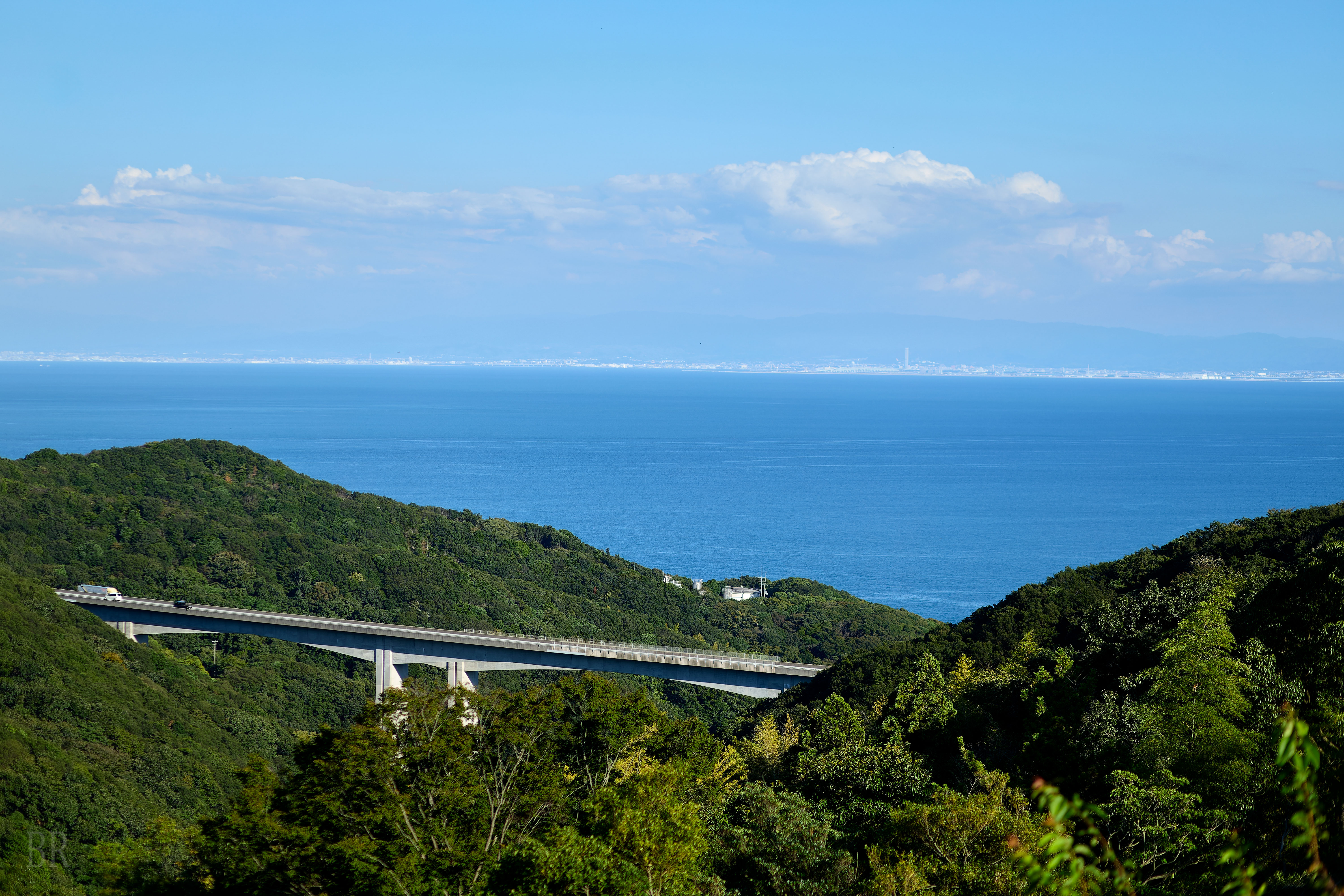 オリーブ園の写真